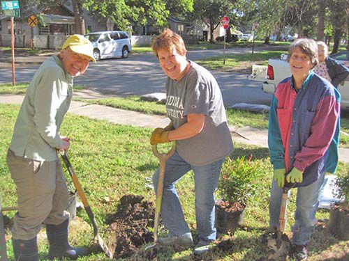 New shrubs donated